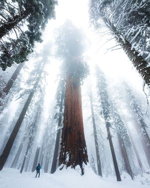 Image post by @nationalparkscollective on Instagram