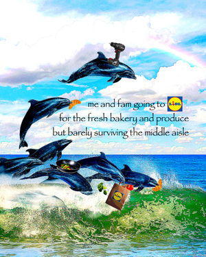 Image post by @lidlus on Instagram