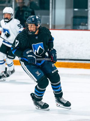 Image post by @playhockeyna on Instagram