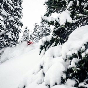 Image post by @whistlerblackcomb on Instagram