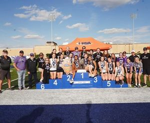 Image post by @ihsa_il on Instagram