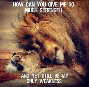 Image post by @counselingservicesofparker on Facebook