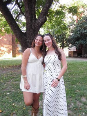Image post by @vandyadpi on Instagram