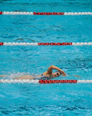 Image post by @nevadaswimdive on Instagram