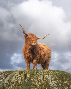 Image post by @visitscotland on Instagram