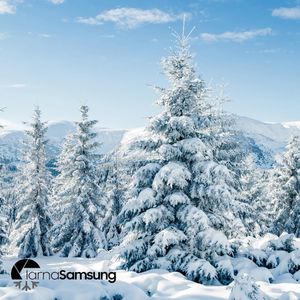 Image post by @samsungromania on Instagram