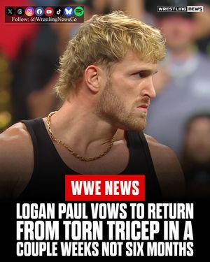 Image post by @wrestlingnewsco on Instagram