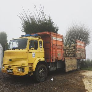Image post by @alpertongfidanligi on Instagram