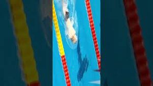 Video post by @paralympics on YouTube