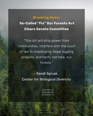 Image post by @centerforbiodiv on Instagram