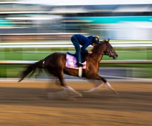 Image post by @kentuckyderby on Instagram