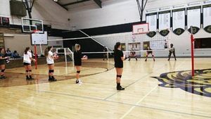 Video post by @PLAvolleyball on Facebook