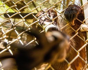 Image post by @ariannagrainey on Instagram