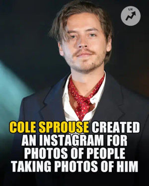 Image post by @buzzfeeduk on TikTok