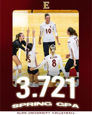 Image post by @elonvb on Instagram