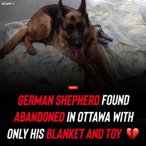 Image post by @shottawa.tv on Instagram