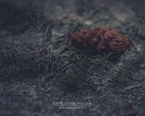 Image post by @Lathanuel Filliol Photography on Facebook