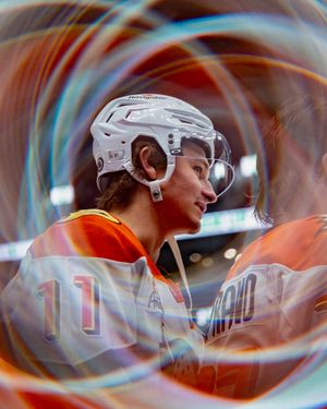 Image post by @anaheimducks on Instagram
