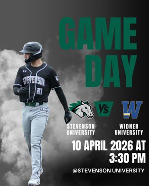 Image post by @stevensonbsb on Instagram