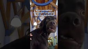 Video post by @sjclibraryvid on YouTube