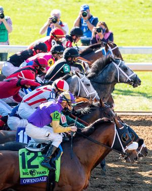Image post by @breederscup on Instagram