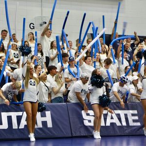 Image post by @usuvolleyball on Instagram