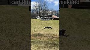 Video post by @claritin on YouTube