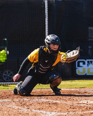 Image post by @SouthernMissSB on Twitter