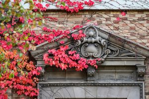 Image post by @uwmadison on Instagram