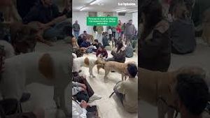 Video post by @laopinionla on YouTube