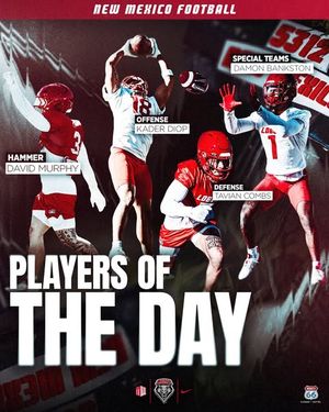 Image post by @unmlobofb on Instagram