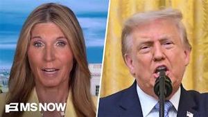 Video post by @msnbc on YouTube