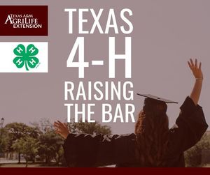 Image post by @txextension on Instagram