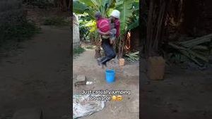 Video post by @houseofhighlights on YouTube