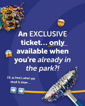 Image post by @draytonmanor on Instagram