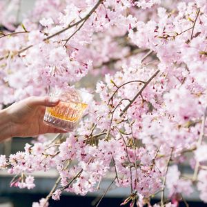 Image post by @suntorywhisky on Instagram