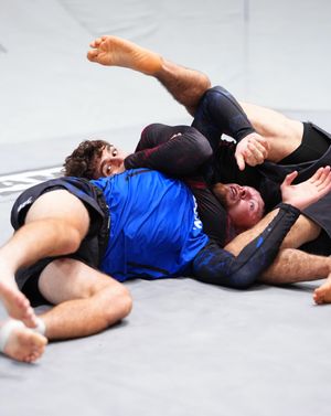 Image post by @ufcbjj on Instagram