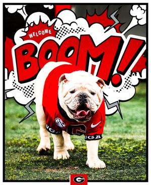Image post by @ugaathletics on Instagram