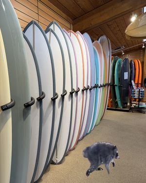 Image post by @aquaeastsurfshop on Instagram