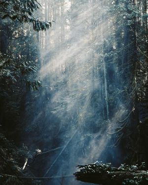 Image post by @bill.yao on Instagram