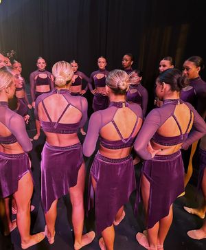 Image post by @lsutigergirls on Instagram