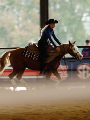 Image post by @auburnequestrian on Instagram