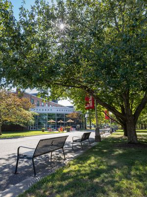 Image post by @stonybrooku on Instagram