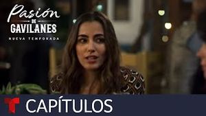 Video post by @telemundo on YouTube