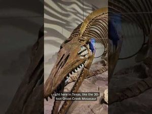 Video post by @The University of Texas at Austin on YouTube