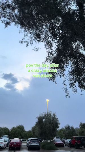 Video post by @lexy.meyers on TikTok