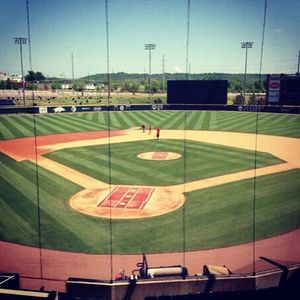 Image post by @razorbackbsb on Instagram