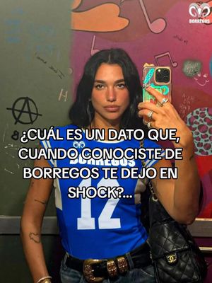 Video post by @borregostec on TikTok