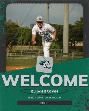 Image post by @stevensonbsb on Instagram