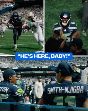 Image post by @seahawks on Instagram